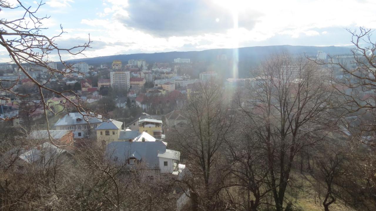 Apartments And Sauna Truskavec Exteriér fotografie